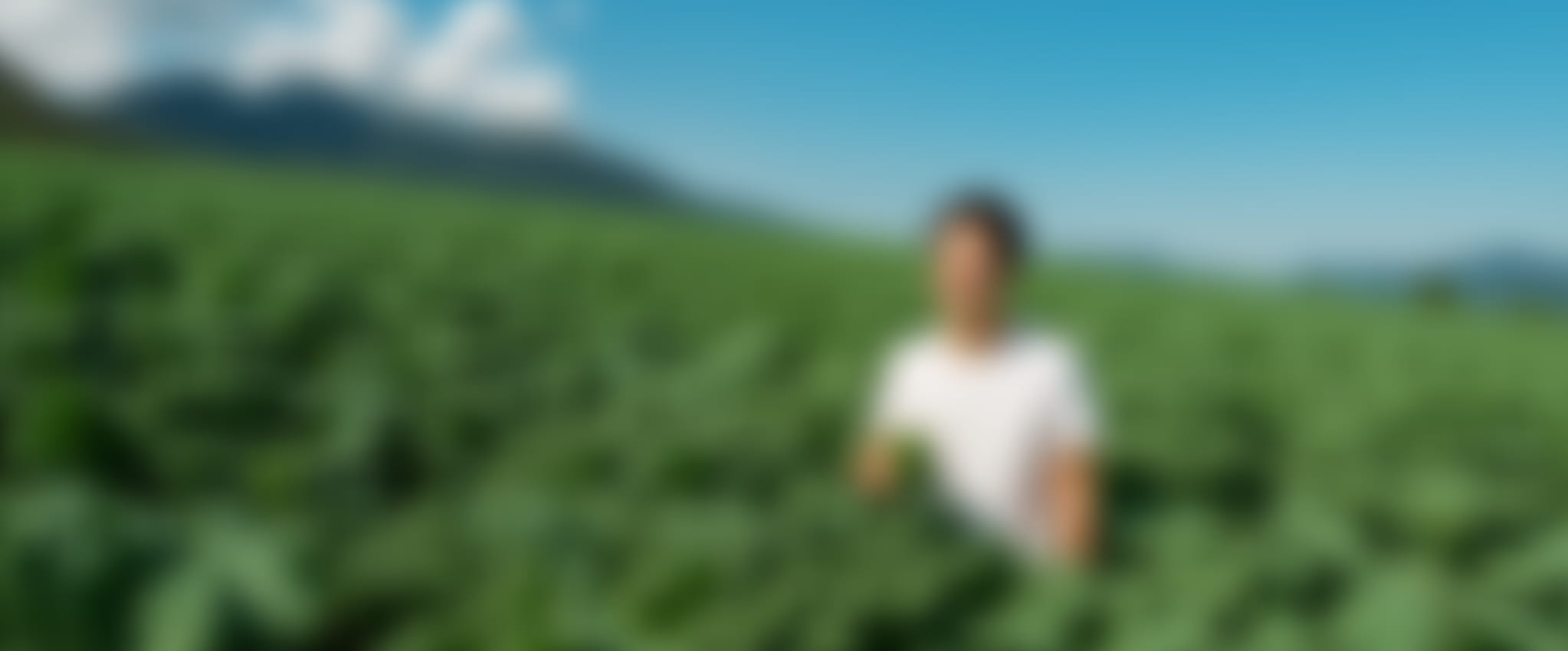 メイン背景
